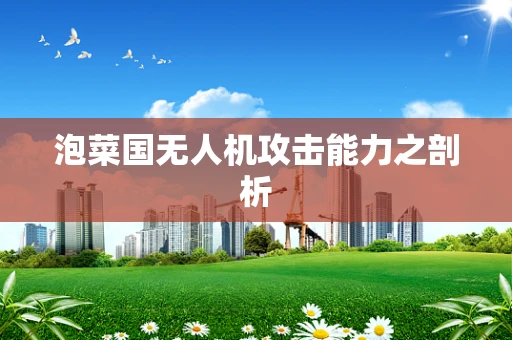 泡菜国无人机攻击能力之剖析