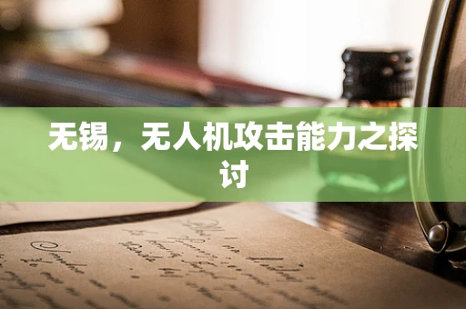 无锡，无人机攻击能力之探讨