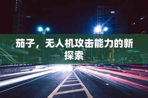 茄子，无人机攻击能力的新探索