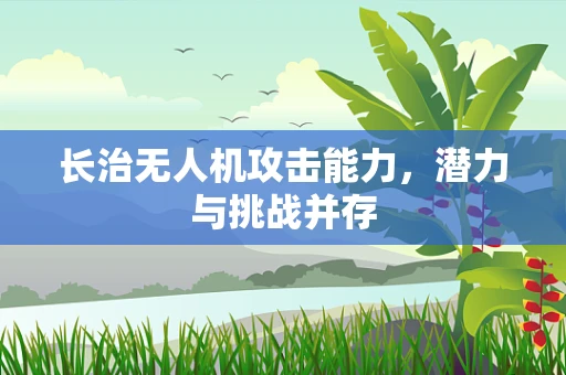 长治无人机攻击能力，潜力与挑战并存