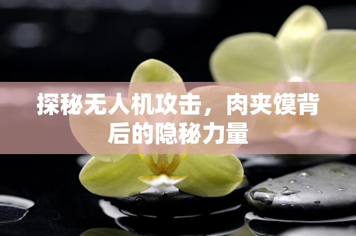 探秘无人机攻击，肉夹馍背后的隐秘力量