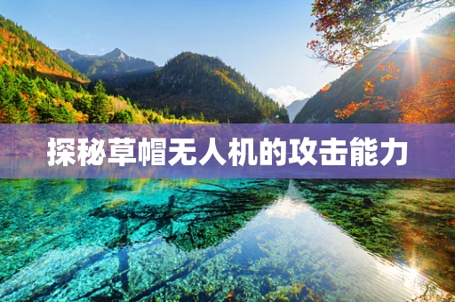 探秘草帽无人机的攻击能力