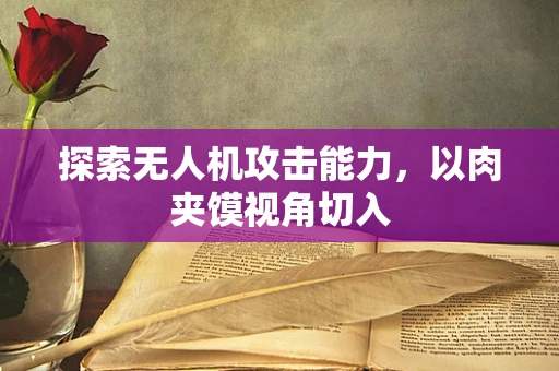 探索无人机攻击能力，以肉夹馍视角切入