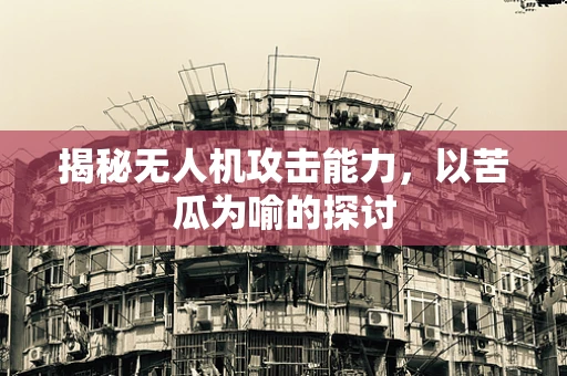 揭秘无人机攻击能力，以苦瓜为喻的探讨