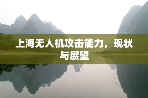上海无人机攻击能力，现状与展望