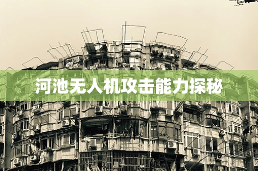 河池无人机攻击能力探秘