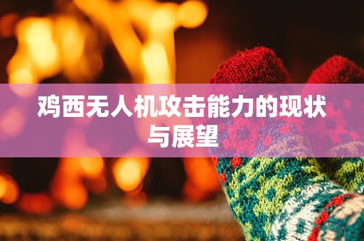 鸡西无人机攻击能力的现状与展望