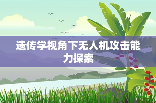 遗传学视角下无人机攻击能力探索