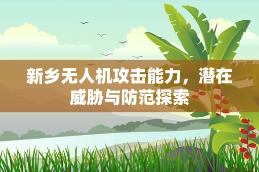 新乡无人机攻击能力，潜在威胁与防范探索