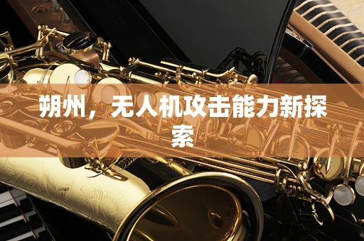 朔州，无人机攻击能力新探索