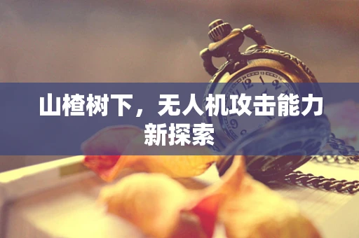 山楂树下，无人机攻击能力新探索