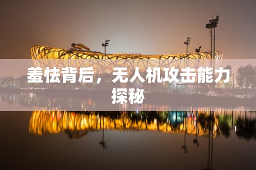 羞怯背后，无人机攻击能力探秘