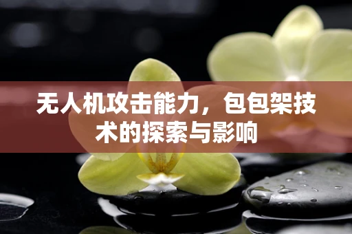 无人机攻击能力，包包架技术的探索与影响