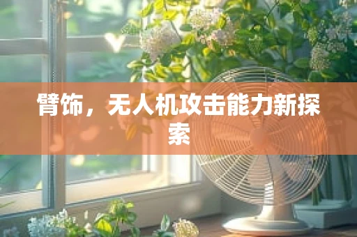 臂饰，无人机攻击能力新探索