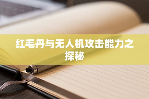 红毛丹与无人机攻击能力之探秘