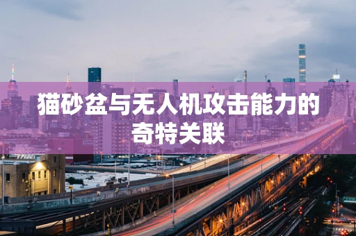 猫砂盆与无人机攻击能力的奇特关联