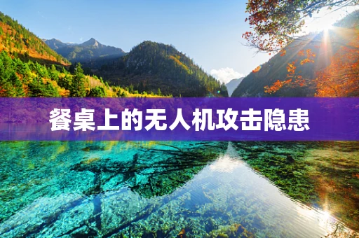 餐桌上的无人机攻击隐患