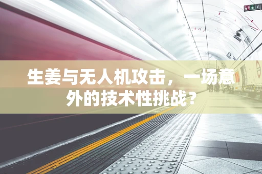 生姜与无人机攻击，一场意外的技术性挑战？