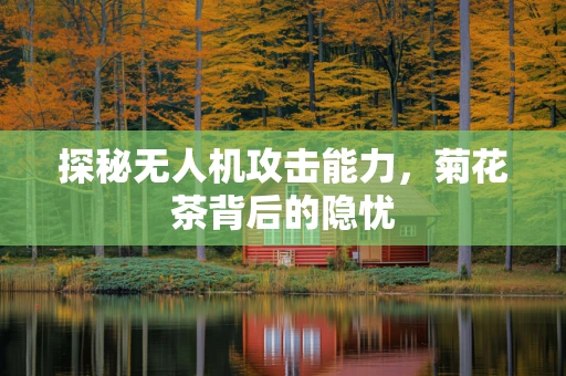 探秘无人机攻击能力，菊花茶背后的隐忧