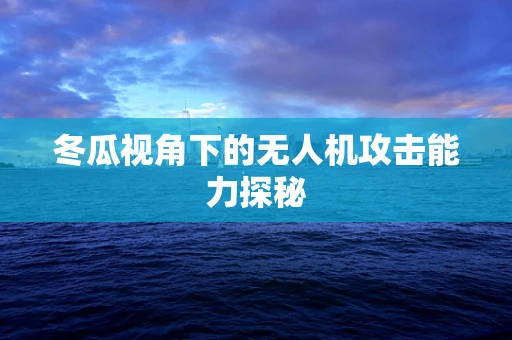 冬瓜视角下的无人机攻击能力探秘