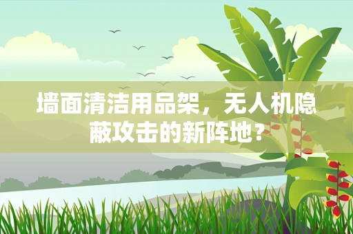 墙面清洁用品架，无人机隐蔽攻击的新阵地？