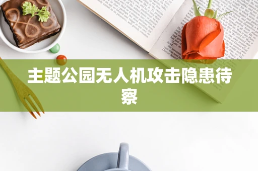 主题公园无人机攻击隐患待察