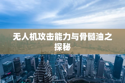 无人机攻击能力与骨髓油之探秘