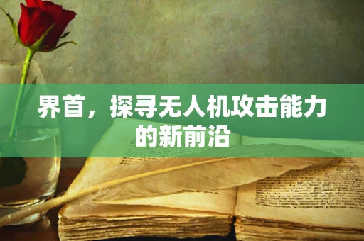 界首，探寻无人机攻击能力的新前沿