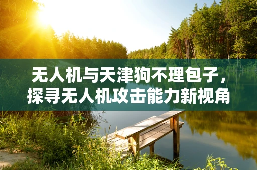 无人机与天津狗不理包子，探寻无人机攻击能力新视角
