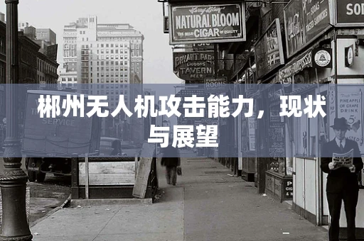 郴州无人机攻击能力，现状与展望