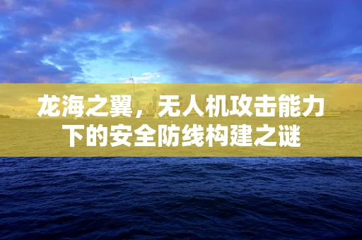 龙海之翼，无人机攻击能力下的安全防线构建之谜
