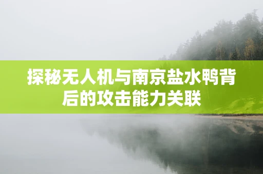 探秘无人机与南京盐水鸭背后的攻击能力关联