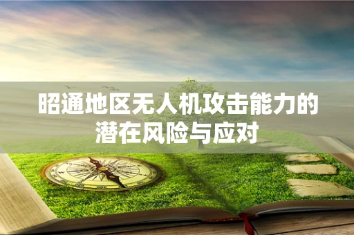 昭通地区无人机攻击能力的潜在风险与应对