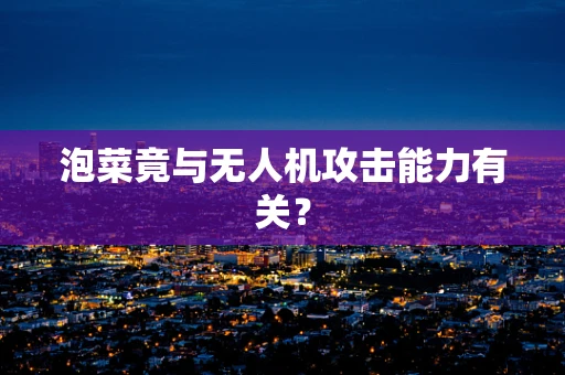 泡菜竟与无人机攻击能力有关？