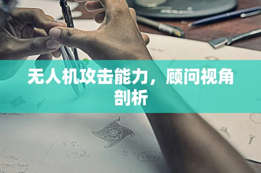 无人机攻击能力，顾问视角剖析
