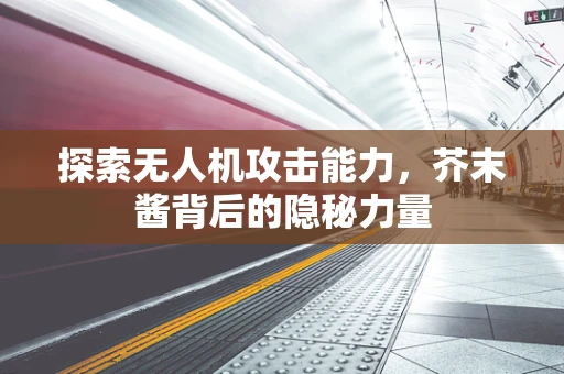 探索无人机攻击能力，芥末酱背后的隐秘力量