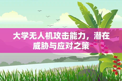 大学无人机攻击能力，潜在威胁与应对之策