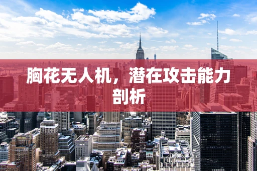 胸花无人机，潜在攻击能力剖析