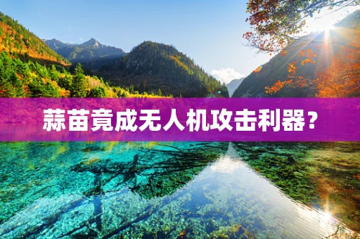 蒜苗竟成无人机攻击利器？