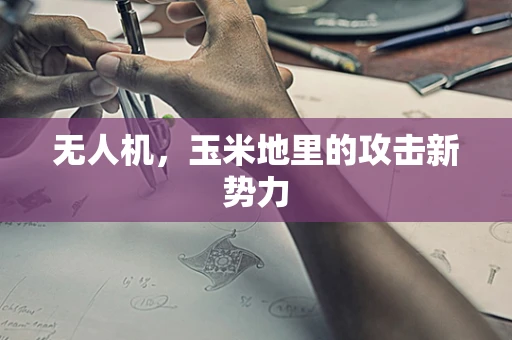 无人机，玉米地里的攻击新势力
