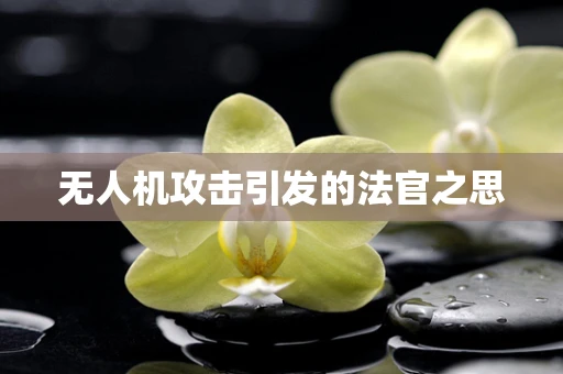无人机攻击引发的法官之思