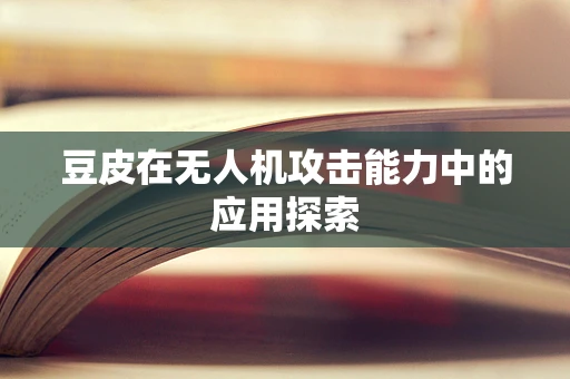 豆皮在无人机攻击能力中的应用探索