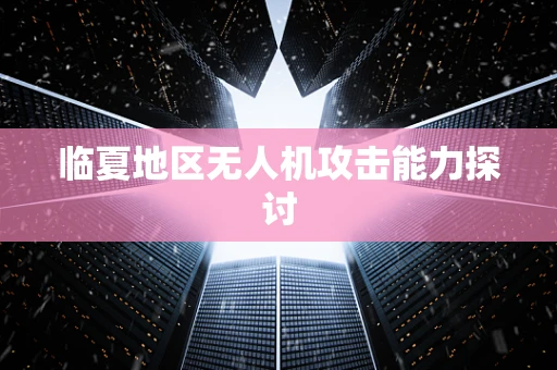 临夏地区无人机攻击能力探讨
