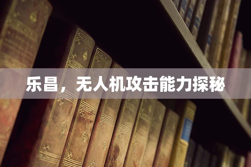 乐昌，无人机攻击能力探秘