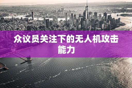 众议员关注下的无人机攻击能力