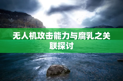 无人机攻击能力与腐乳之关联探讨