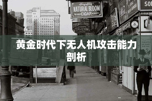 黄金时代下无人机攻击能力剖析