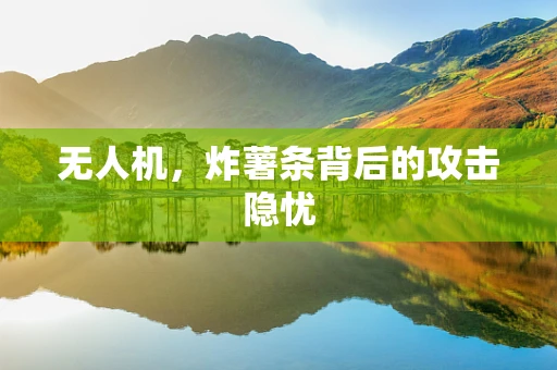 无人机，炸薯条背后的攻击隐忧
