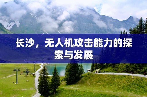 长沙，无人机攻击能力的探索与发展