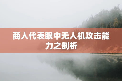 商人代表眼中无人机攻击能力之剖析